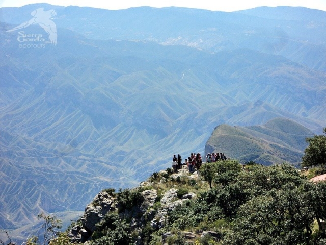 Visitas guiadas ecologicos